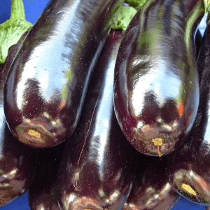 AUBERGINE - 600 g - 4,90 € / kg -
